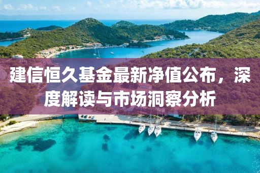 建信恒久基金最新凈值公布，深度解讀與市場(chǎng)洞察分析