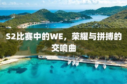 S2比賽中的WE，榮耀與拼搏的交響曲