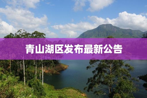 青山湖區(qū)發(fā)布最新公告