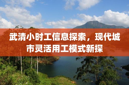 武清小時工信息探索，現(xiàn)代城市靈活用工模式新探