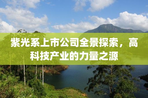 紫光系上市公司全景探索，高科技產(chǎn)業(yè)的力量之源