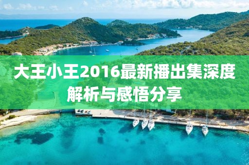 大王小王2016最新播出集深度解析與感悟分享