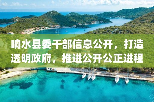 響水縣委干部信息公開，打造透明政府，推進公開公正進程