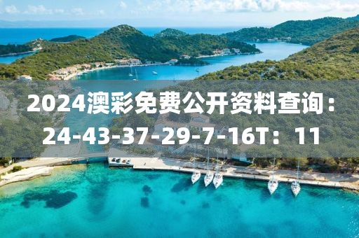 2024澳彩免費(fèi)公開(kāi)資料查詢(xún)：24-43-37-29-7-16T：11