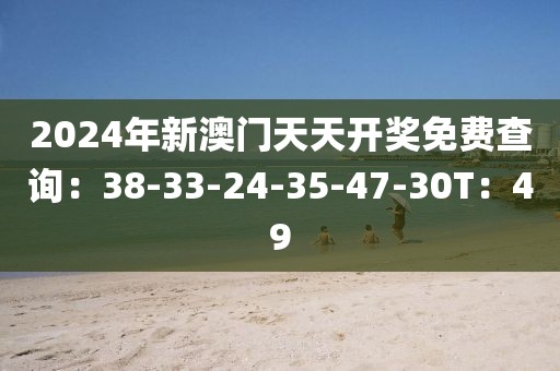 2024年新澳門天天開獎(jiǎng)免費(fèi)查詢：38-33-24-35-47-30T：49