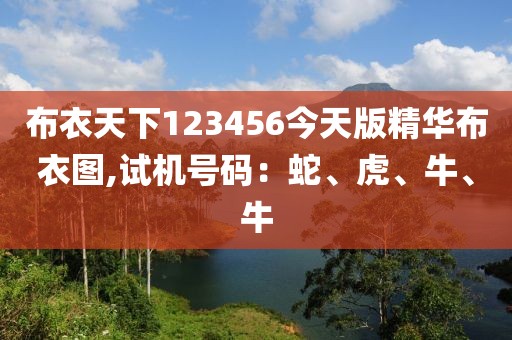 布衣天下123456今天版精華布衣圖,試機(jī)號碼：蛇、虎、牛、牛