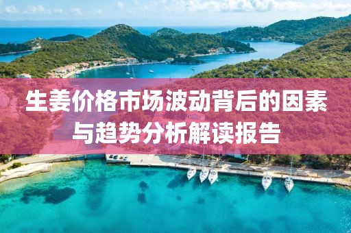 生姜價格市場波動背后的因素與趨勢分析解讀報告