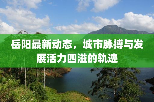 岳陽(yáng)最新動(dòng)態(tài)，城市脈搏與發(fā)展活力四溢的軌跡