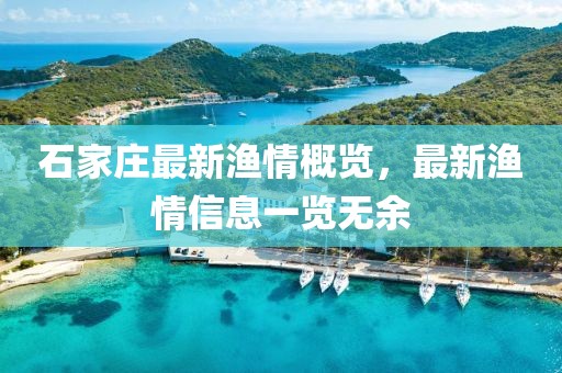 石家莊最新漁情概覽，最新漁情信息一覽無(wú)余