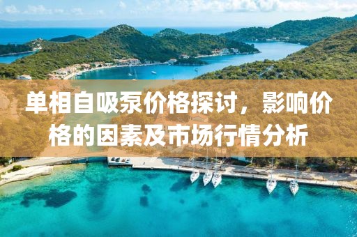 單相自吸泵價(jià)格探討，影響價(jià)格的因素及市場行情分析