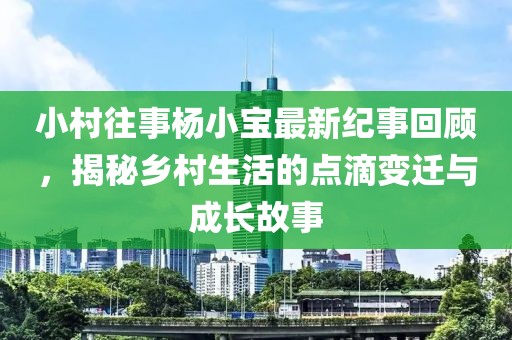 小村往事楊小寶最新紀(jì)事回顧，揭秘鄉(xiāng)村生活的點(diǎn)滴變遷與成長(zhǎng)故事