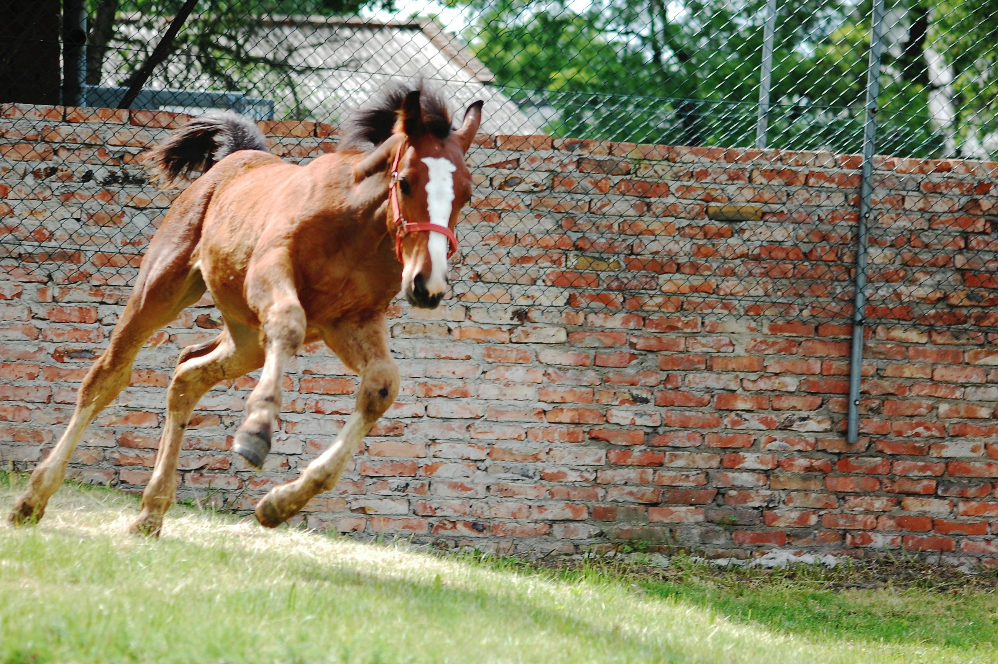 2024澳門特馬今晚開(kāi)獎(jiǎng)53期：19-8-3-31-46-24特：34