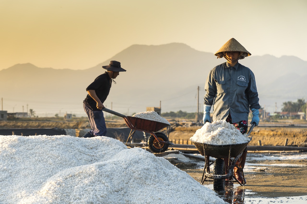 最新老年社區(qū)排名，打造理想的養(yǎng)老生活環(huán)境