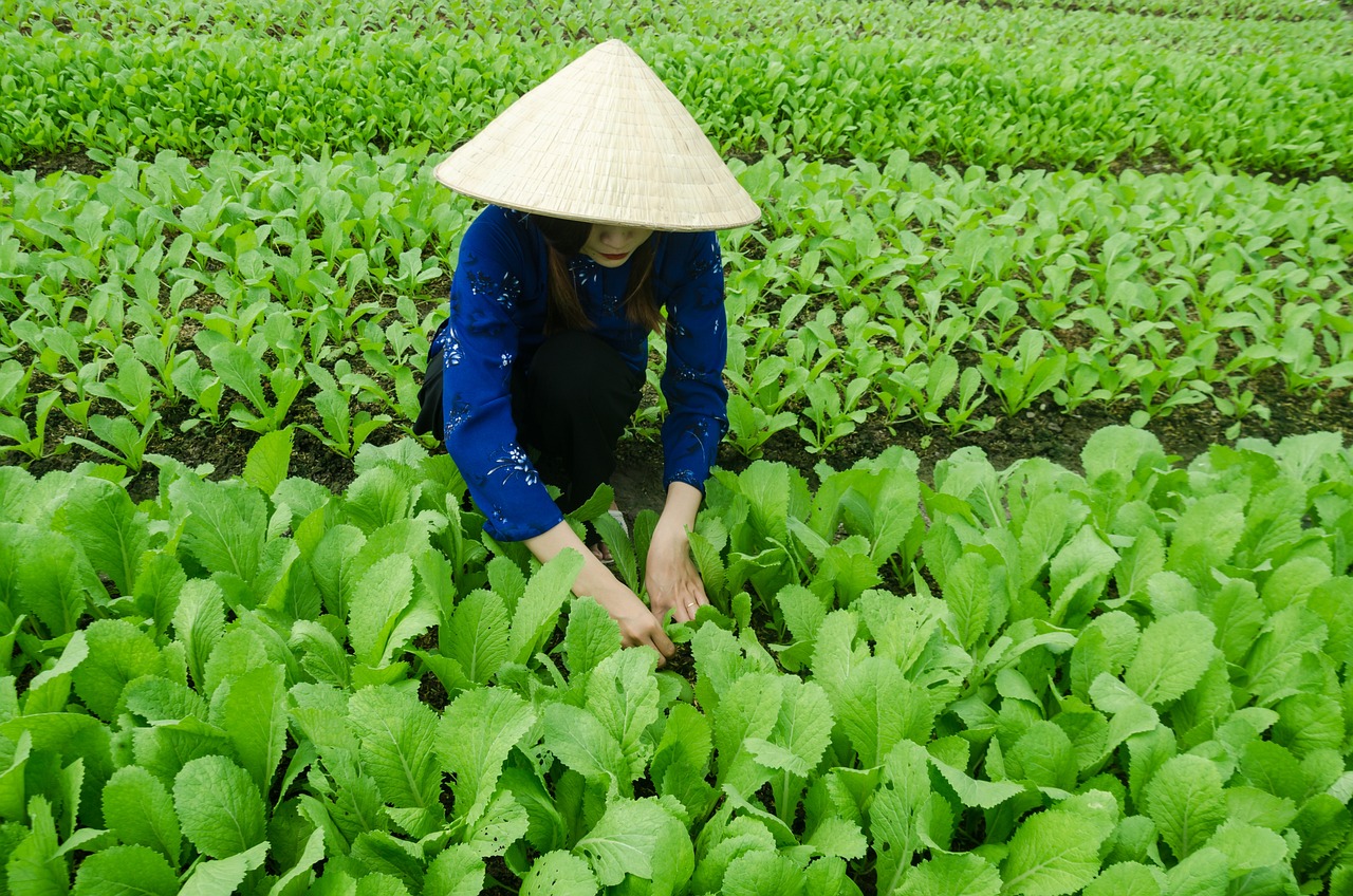 含山運漕最新動態(tài)更新，關(guān)注運漕發(fā)展，掌握最新資訊