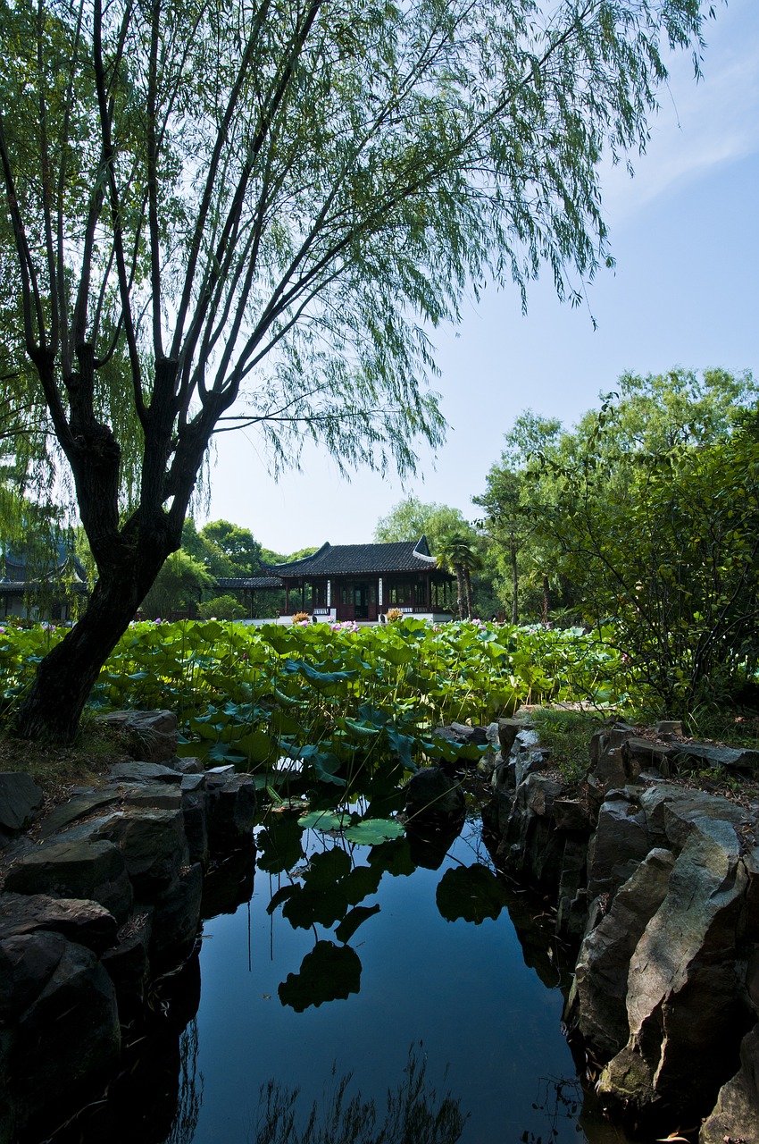 蘇州湖畔樾山最新動態(tài)揭秘，未來人居典范的崛起之路