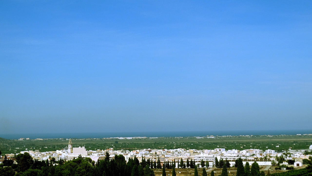 資陽土地拍賣動態(tài)，揭示城市發(fā)展的脈搏