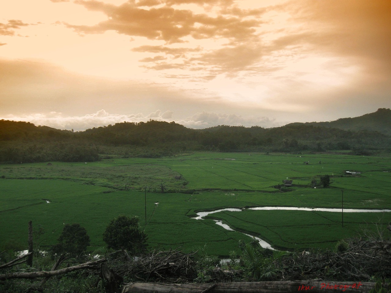 股票行情數(shù)據(jù)下載，掌握股市動(dòng)態(tài)的必備技能之道